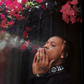 TÉLÉCHARGER TRIPPIE REDD GRATUIT GRATUIT REDD TÉLÉCHARGER TRIPPIE