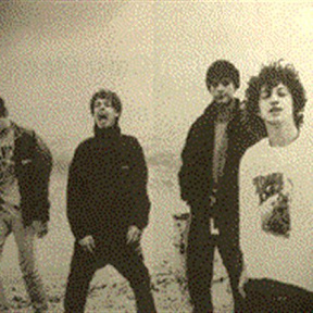 The la's
