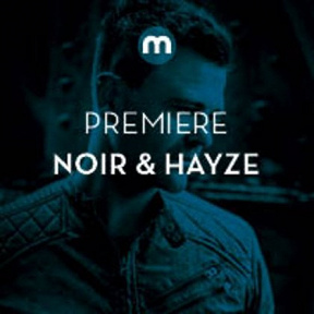 Noir & Hayze