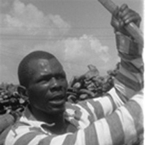 James Carter & the Prisoners