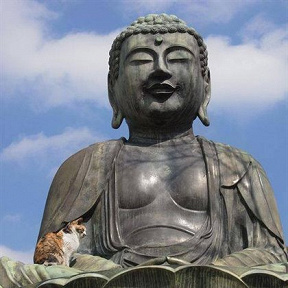 Relaxing Mindfulness Meditation Relaxation Maestro