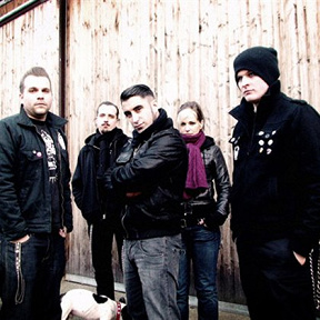 Broilers