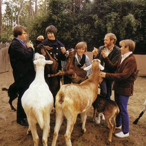 The Beach Boys