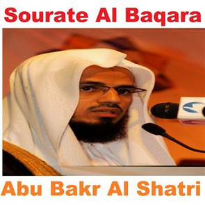 TÉLÉCHARGER SOURAT AL BAQARA SAAD AL GHAMIDI SOURAT AL BAQARA SAAD AL GHAMIDI