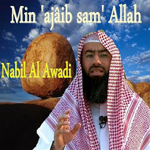 TÉLÉCHARGER NABIL AWADI MP3 AWADI MP3 NABIL TÉLÉCHARGER