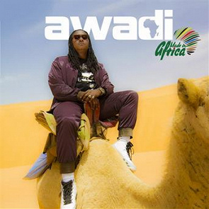 Didier Awadi - Made In Africa  U3615931805395