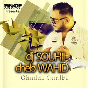 TÉLÉCHARGER DJ SOUHIL LE SON DU BLED 2013 GRATUITEMENT