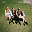 Haim - Days Are Gone (Deluxe Edition)