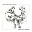 Arlo Guthrie / Pete Seeger - Precious Friend