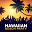 Kalua Beach Boys / Dick Mahi & His Hawaiian Paradise Orchestra / King Louie & His South Sea Islanders / The Islanders / Kalua Beach Boys, the Lotus Blossoms - Hawaiian Beach Party