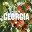 Thomas Rhett / Florida Georgia Line / Brantley Gilbert / Charles Kelley / Kidd G / Callista Clark / Jennifer Nettles / Lady A / Sugarland - Best Of Georgia