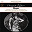 Bruno Walter / Richard Wagner - Wagner: Lohengrin Prelude & Siegfried Idyll & Venusberg Music (Remastered)