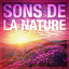 Ambiance Nature - Sons de la nature, vol. 1