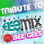 Disco Fever - Tribute to Bee Gees Remix