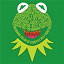 Ok Go / Weezer / Hayley Williams / The Fray / Alkaline Trio / My Morning Jacket / Amy Lee / Sondre Lerche / The Airborne Toxic Event / Billy Martin / Brandon Saller / Andrew Bird / Matt Nathanson / Ra - Muppets: The Green Album
