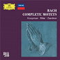 Compilation Bach 333: Complete Motets avec Baroque Brass of London / Thomanerchor Leipzig / Capella Thomana / Georg Christoph Biller / The Netherlands Chamber Choir...