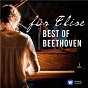 Compilation Für Elise: Best of Beethoven avec Sir Roger Norrington / Ludwig van Beethoven / François-René Duchâble / Jukka-Pekka Saraste / Dmitry Sitkovetsky...