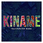 Album Kiname (feat. Booba) de Fally Ipupa