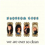 Album We Are Ever So Clean de Blossom Toes
