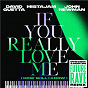 Album If You Really Love Me (How Will I Know) de David Guetta X Mistajam X John Newman