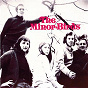 Album The Minor Birds de The Minor Birds