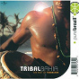 Album Tribal Bahia de Timbalada