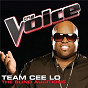 Compilation Team Cee Lo - The Blind Auditions (The Voice Performances) avec Kelsey Rey / Curtis Grimes / Emily Valentine / Nakia / Niki Dawson...