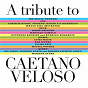 Compilation A Tribute To Caetano Veloso avec Tulipa Ruiz / The Magic Numbers / Chrissie Hynde / Kassin / Moreno Veloso...