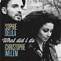 Album What Did I Do de Christophe Willem / Sophie Delila