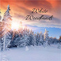 Album White Woodlands de Easy Sleep Music