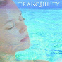 Album Tranquility de Steve Hogarty