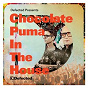 Compilation Defected Presents Chocolate Puma In The House avec Antranig / Chocolate Puma / Gregor Salto / Dachshund & Quenum / Boemklatsch...