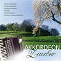 Compilation Akkordeon Zauber avec André Verchuren / Florian Silbereisen / Kirmesmusikanten / Nordland Orchester / Aimable...