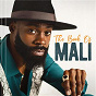 Album The Book of Mali de Mali Music