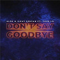 Album Don't Say Goodbye de Ilkay Sencan / Alok & Ilkay Sencan