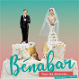 Album Tous les divorcés (Monsieur C. Remix) de Bénabar