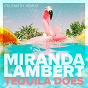 Album Tequila Does (Telemitry Remix) de Miranda Lambert