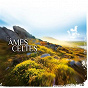 Compilation Âmes celtes (Musiques Bretonnes) avec Jimme O'neill / Barzaz / Jamie Mcmenemy4 / Ronan le Bars Group / Armel An Hejer...