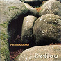 Album Deliou de Patrick Molard