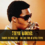 Album Tribute to Uncle Ray / The Jazz Soul of Little Stevie de Stevie Wonder