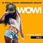 Compilation WOW! (20 Special Selected Underground Grooves), Vol. 3 avec Robert White / Dee Elements / Deanna Fay / Peter Ford / Nicolas Hilton...