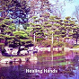 Album Healing Hands de Meditation