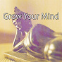 Album Grow Your Mind de Focus Study Music Academy