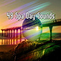 Album 49 Spa Day Sounds de Forest Sounds