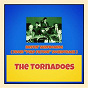 Album Bustin' Surfboards (From "Pulp Fiction" Soundtrack) de The Tornadoes