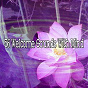 Album 56 Welcome Sounds with Mind de Internal Yoga Music