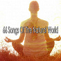 Album 66 Songs of the Natural World de Spiritual Fitness Music