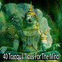 Album 40 Tranquil Tides for the Mind de Relaxing Mindfulness Meditation Relaxation Maestro