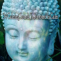 Album 54 Calming Sounds to Surround in Calm de Zen Meditation & Natural White Noise & New Age Deep Massage