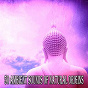 Album 50 Ambient Sounds of Natural Origins de Yoga Namaste
